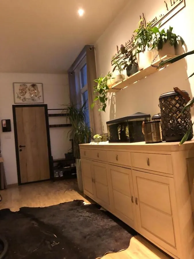 Studio Dream On Met Zonnige Terras Apartment Ostend